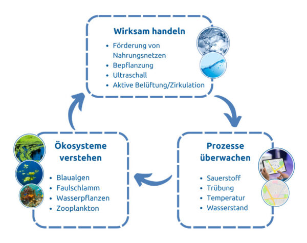 Kreislauf Gewässermanagement Prozesse überwachen Ökosysteme verstehen Wirksam handeln