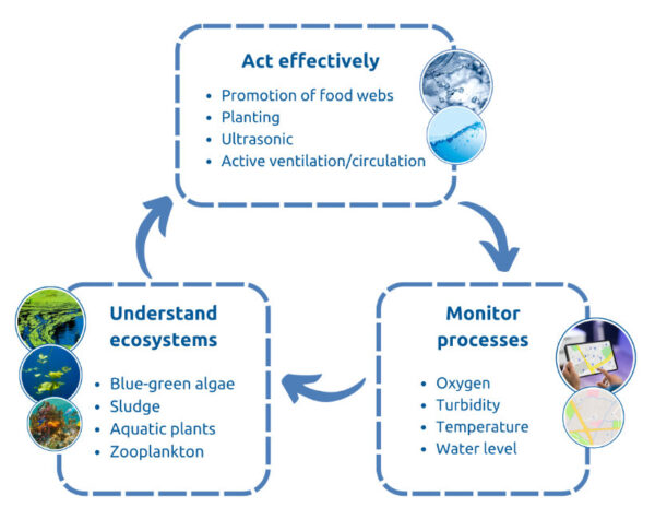 Kreislauf Gewässermanagement Prozesse überwachen Ökosysteme verstehen Wirksam handeln